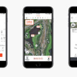 hello-birdie-screens